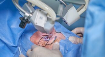 أحدث تطبيقات الطباعة ثلاثية الأبعاد في الطب : إستخدام الحبر الحيوي (البيو-إنك) للطباعة ثلاثية الأبعاد داخل الجسم بدون جراحة عميقة