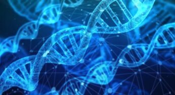 قد تكون الدوائر الرقمية القائمة على الحمض النووي هي مستقبل الطب، وسيوصلنا هذا البرنامج الحاسوبي إلى هناك بشكل أسرع